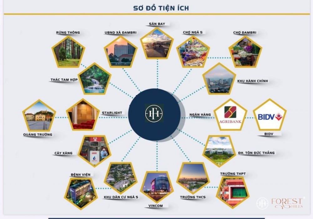 Tiện ích kết nối dự án Forest Hills Bảo Lộc